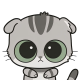 Qin